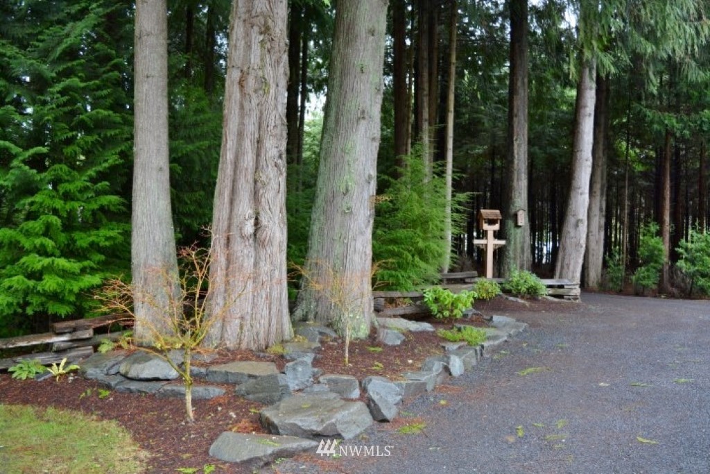 1685 North Fork Road Chehalis, WA 98532 - Photo 20 of 23