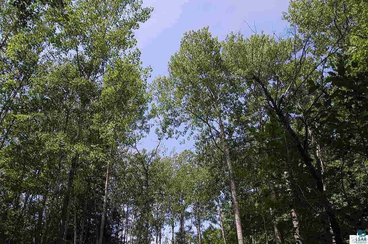 11795 East Minnesuing Road Lake Nebagamon, WI 54849 - Photo 12 of 18