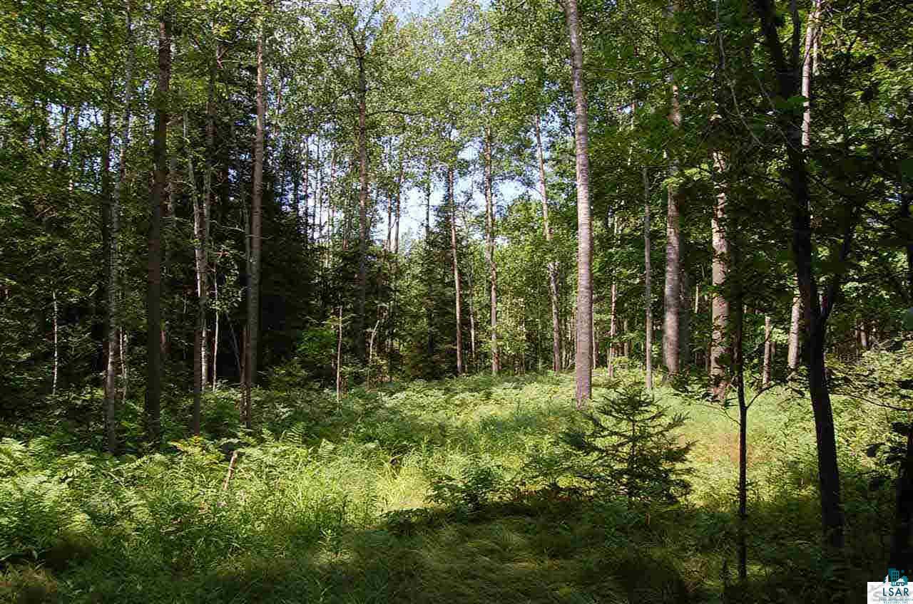 11795 East Minnesuing Road Lake Nebagamon, WI 54849 - Photo 13 of 18