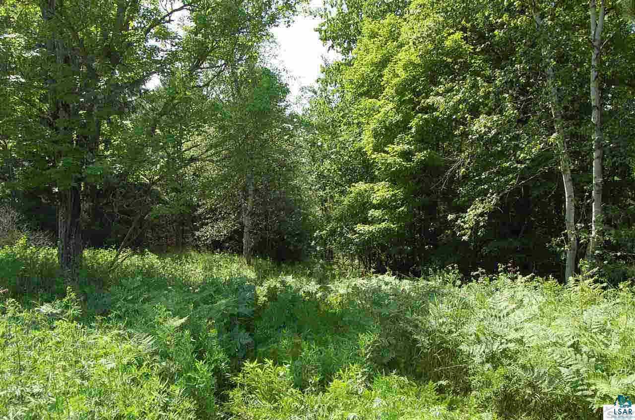 11795 East Minnesuing Road Lake Nebagamon, WI 54849 - Photo 18 of 18