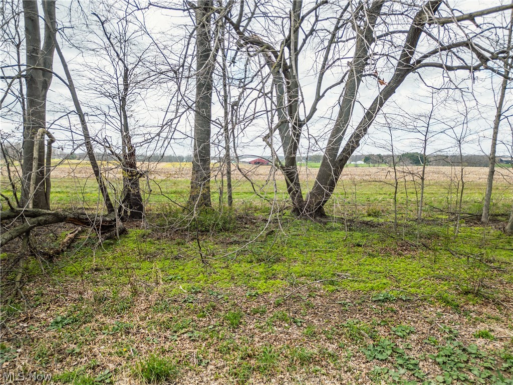 Steiner Road Sterling, OH 44276 - Photo 18 of 22