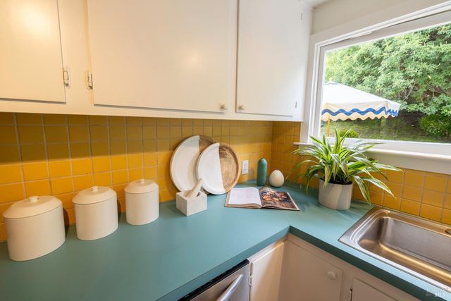 a kitchen with a faucet a sink and a potted plant