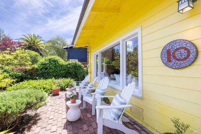 a view of a backyard with plants