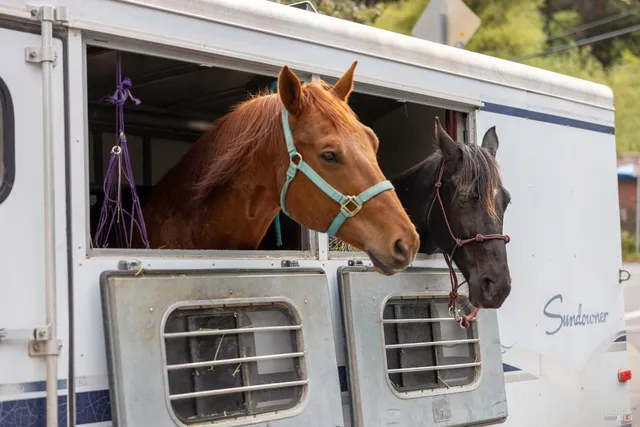 $1,650,000 | 10 Park Avenue, Bolinas, CA 94924
