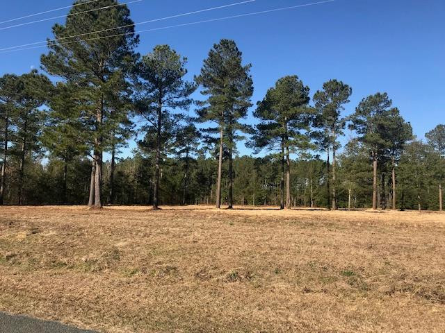 Lot 26 Burkelo Road Wagener, SC 29164 - Photo 14 of 18 Gallery Image 14