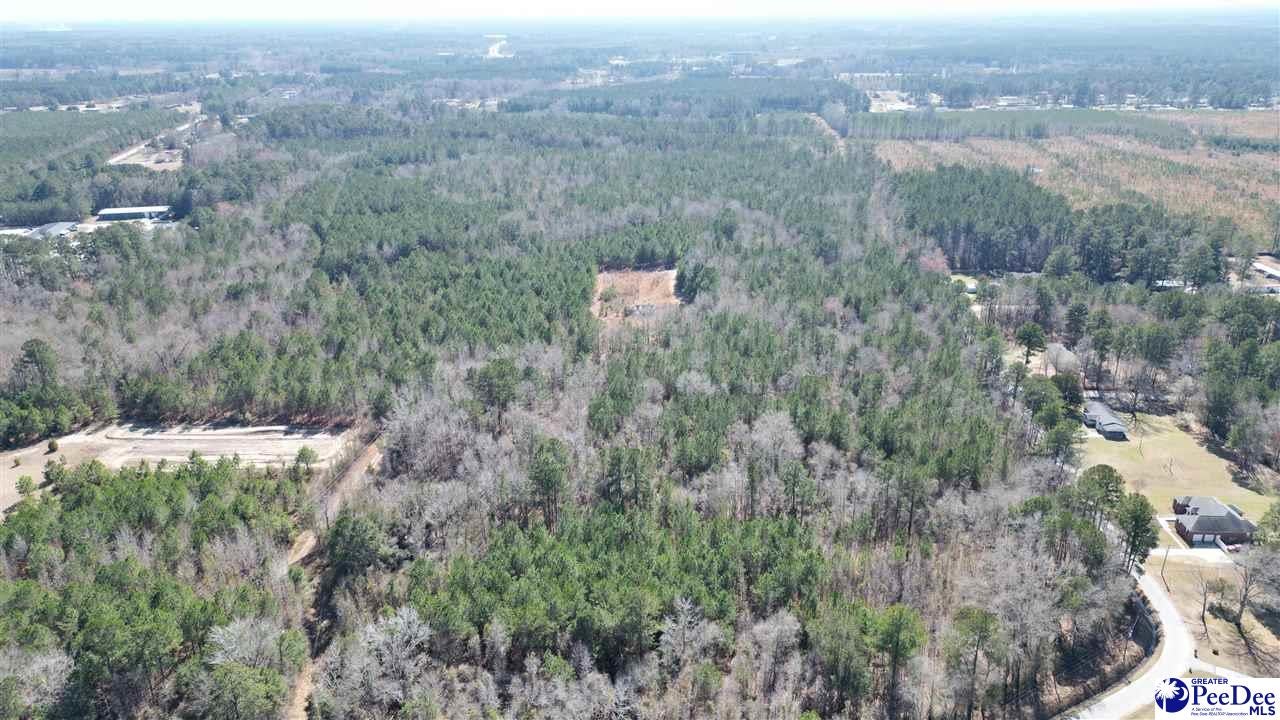6.75-acres Silver Leaf Road Florence, SC 29505 - Photo 12 of 12 Gallery Image 12