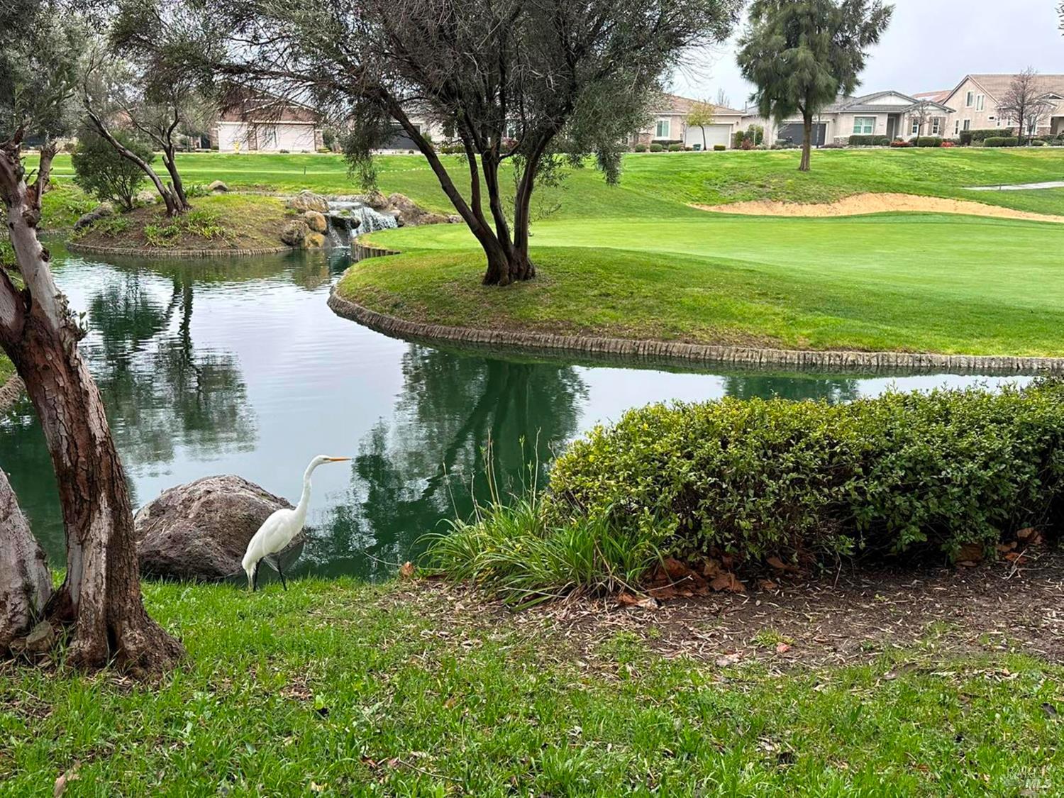 659 Pinehurst Drive, Unit CA Rio Vista, CA 94571 - Photo 33 of 40 a view of a garden with an ocean and trees