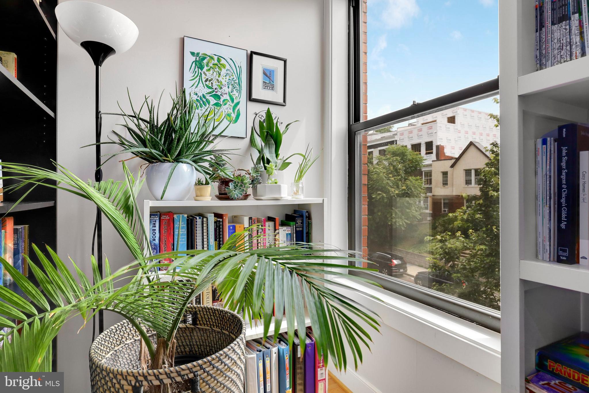 2456 Ontario Road Northwest, Unit 3 Washington, DC 20009 - Photo 7 of 41