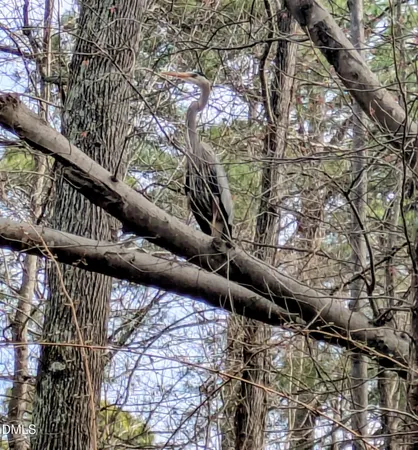 $775,000 | 100 Ferncroft Court, Cary, NC 27519