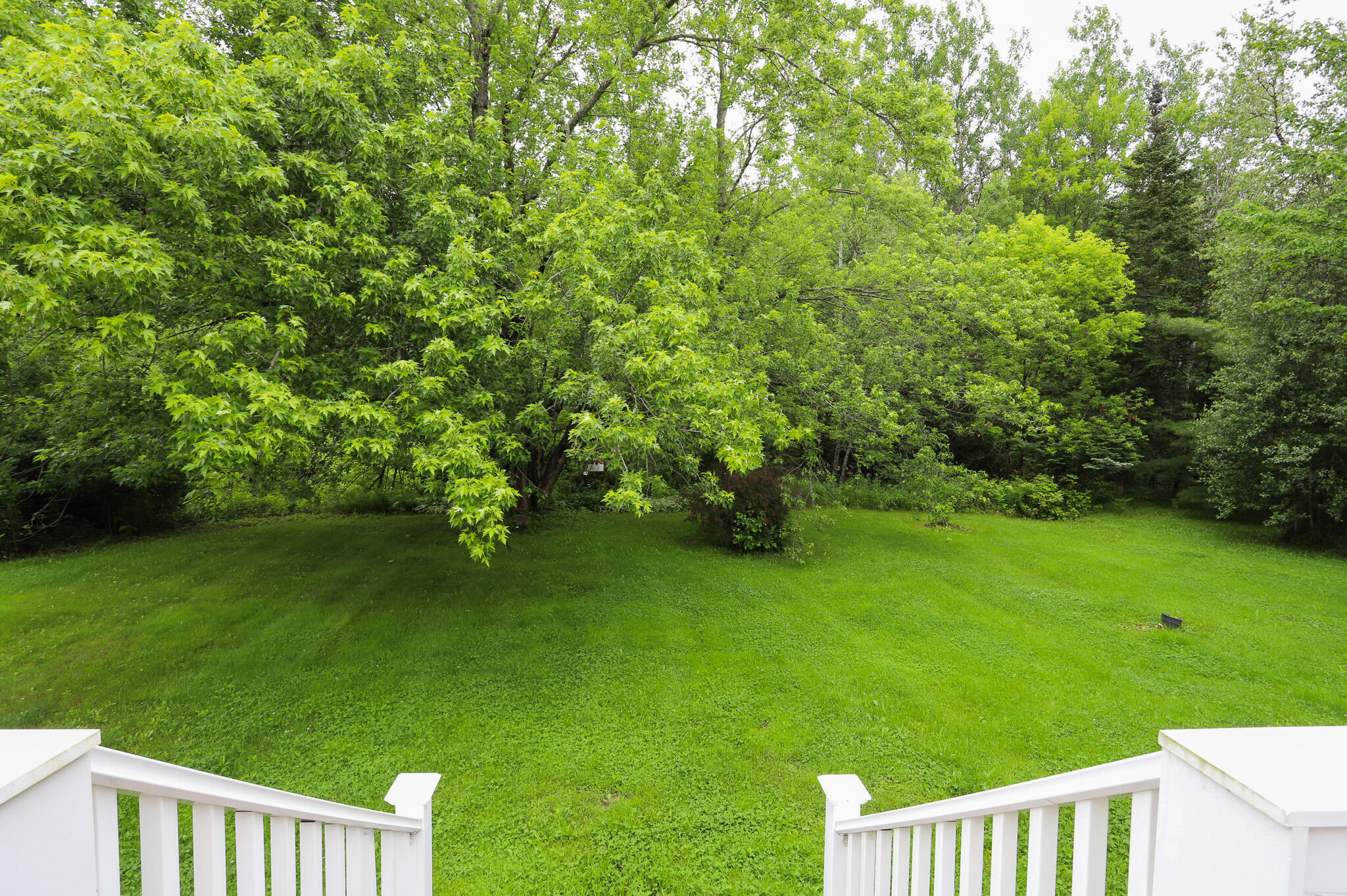 296 Eastern Avenue Brewer, ME 04412 - Photo 38 of 43 IMG_5293