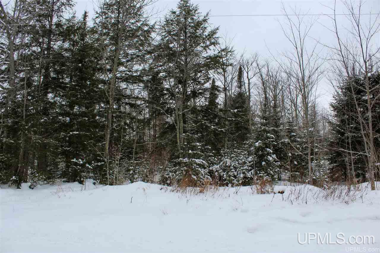 Tbd Des Rochers Road, Unit LOT 19 Pelkie, MI 49958 - Photo 3 of 33