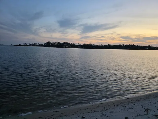 a view of backyard with tree