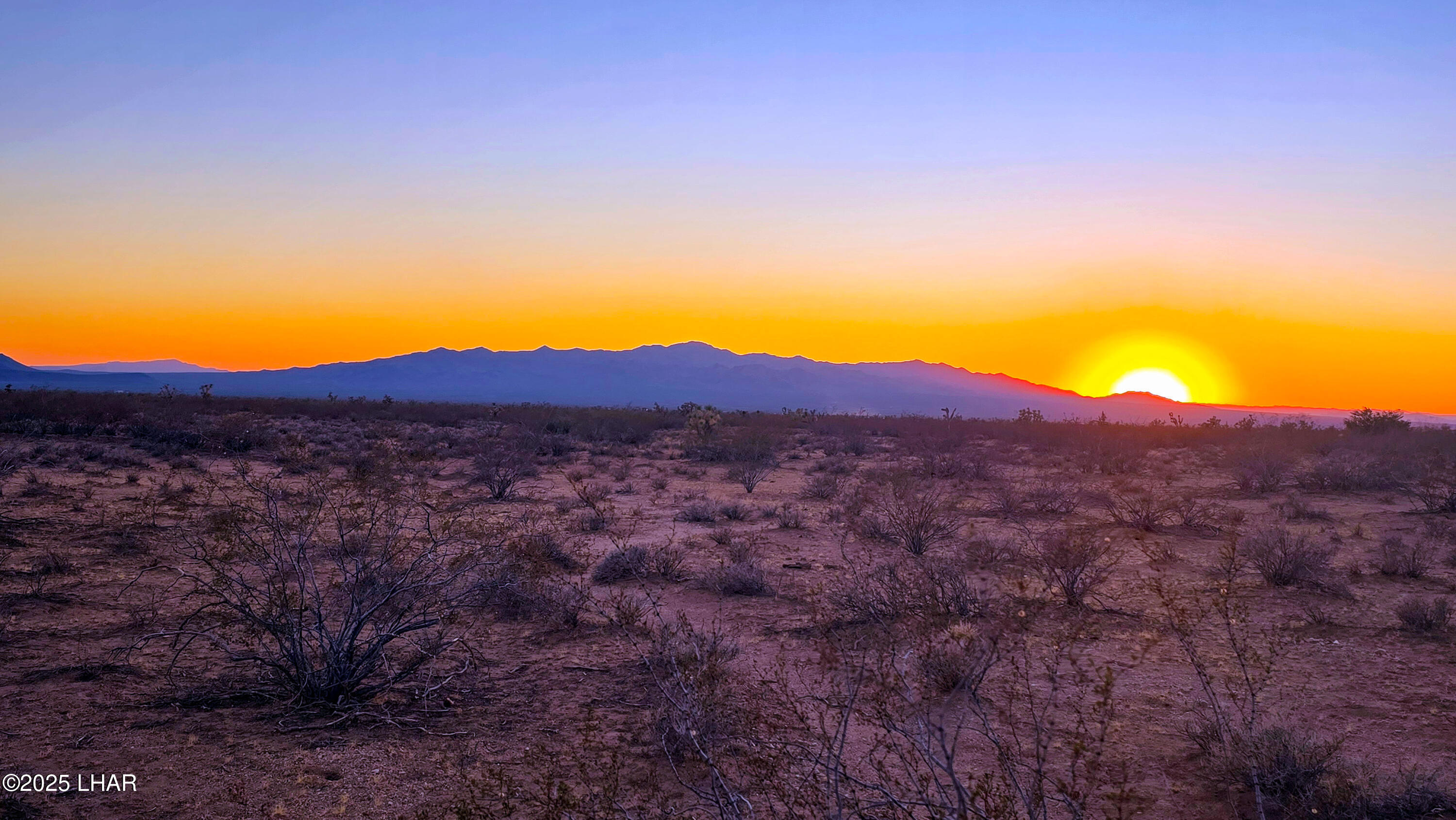 225 South Dead Eye Road Yucca, AZ 86438 - Photo 11 of 20