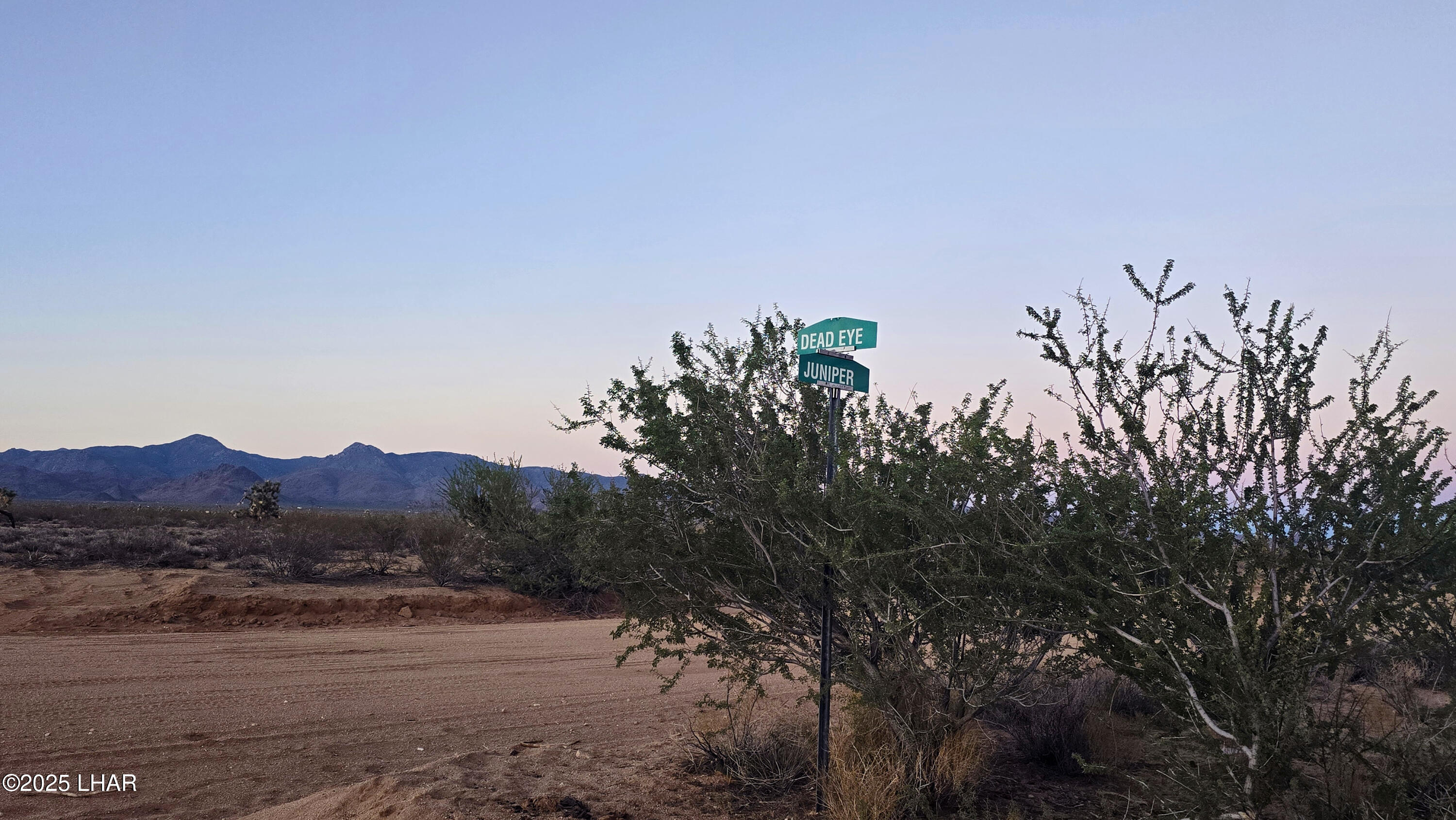 225 South Dead Eye Road Yucca, AZ 86438 - Photo 16 of 20 a view of a dry field with trees in the background
