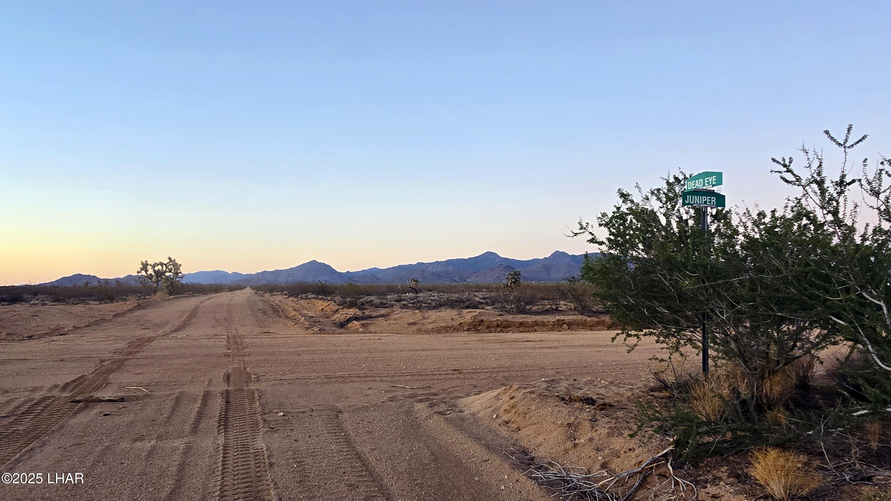 225 South Dead Eye Road Yucca, AZ 86438 - Photo 18 of 20 a view of a road with a tree in the background