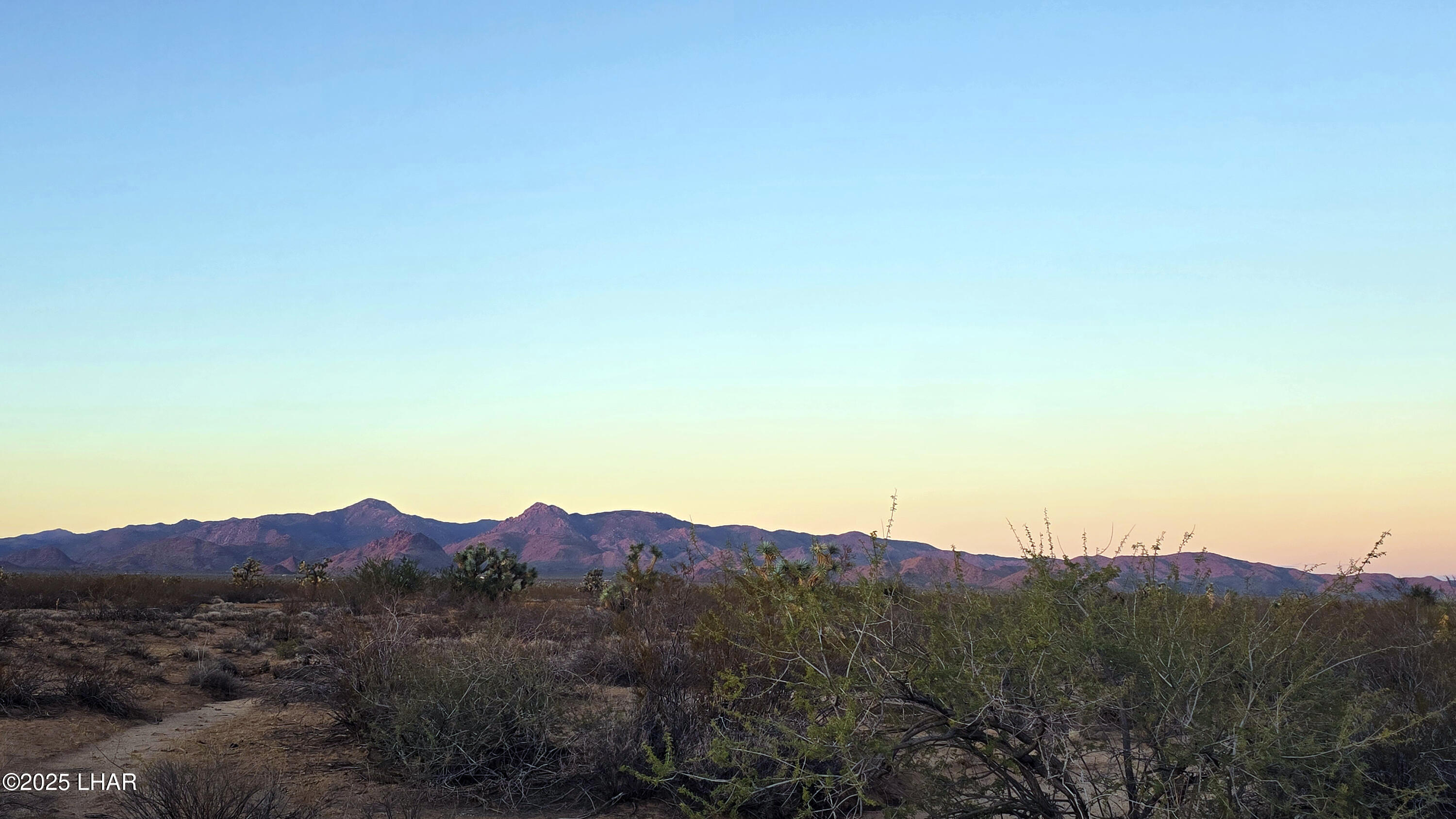 225 South Dead Eye Road Yucca, AZ 86438 - Photo 5 of 20
