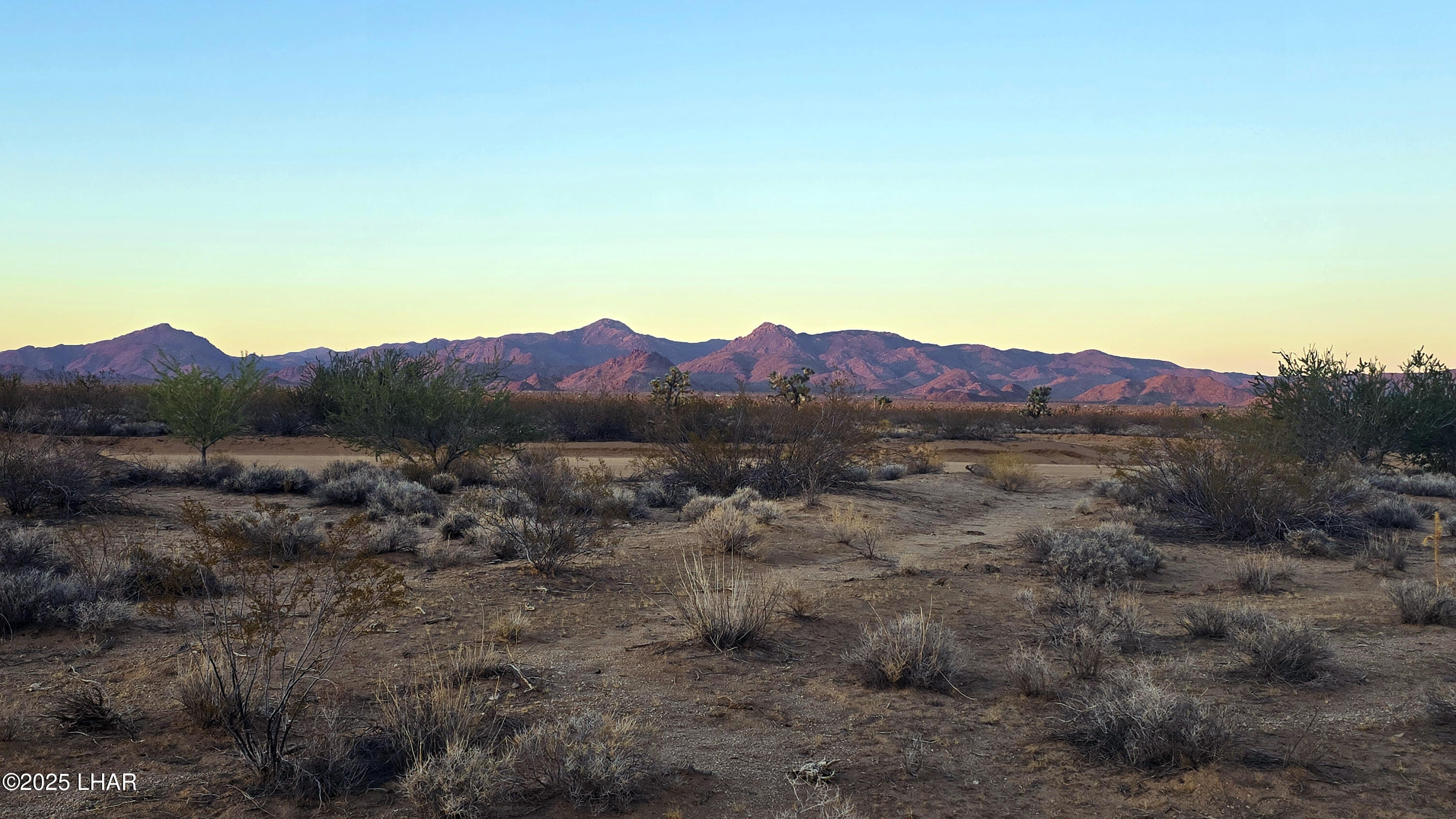 225 South Dead Eye Road Yucca, AZ 86438 - Photo 10 of 20 a view of a lush green field with mountains in the background