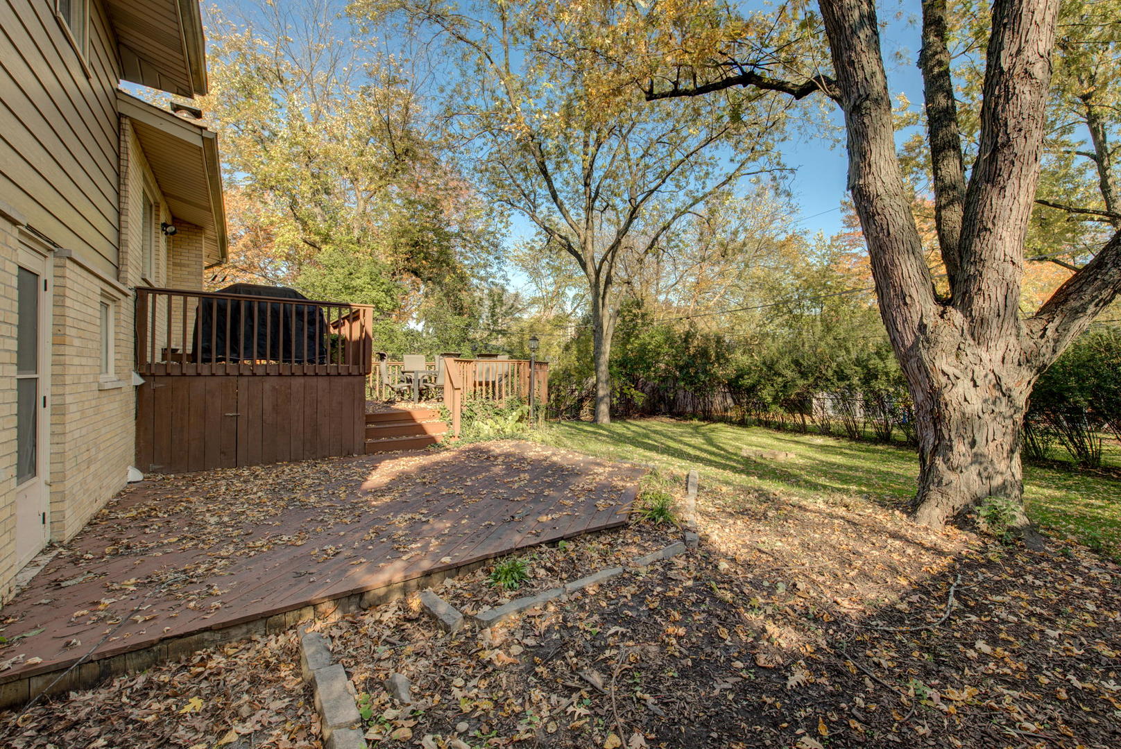 1251 Kenton Road Deerfield, IL 60015 - Photo 29 of 36 a view of a yard with plants and trees