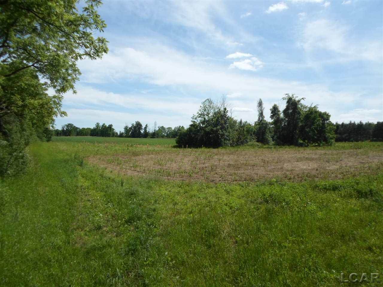 12000 Stephenson Road, Unit PARCEL A Brooklyn, MI 49230 - Photo 22 of 49