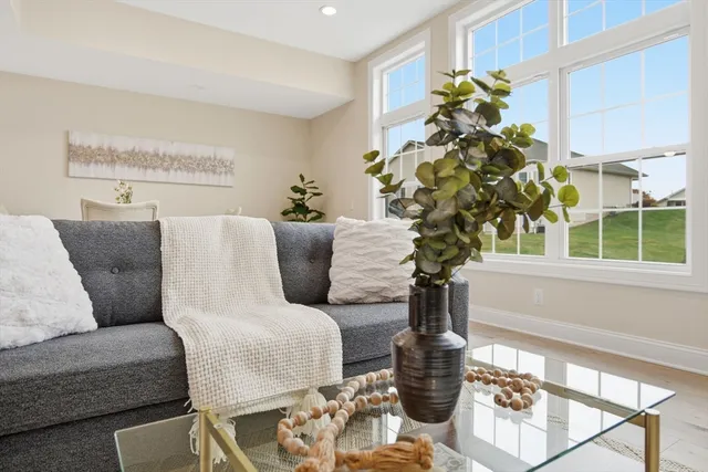a living room with furniture and a potted plant