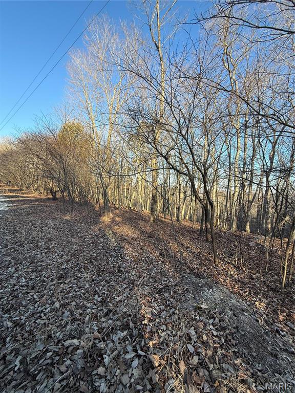 1633 Timber Blf Trail Pacific, MO 63069 - Photo 3 of 5