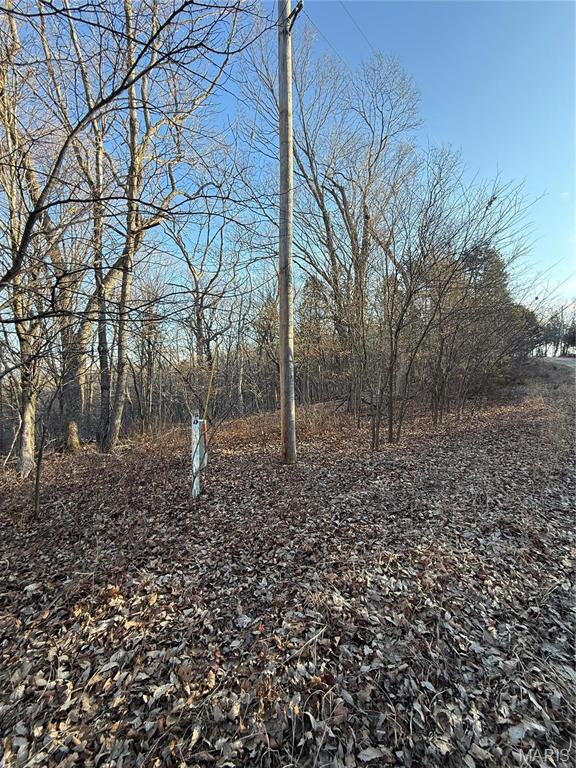 1633 Timber Blf Trail Pacific, MO 63069 - Photo 4 of 5