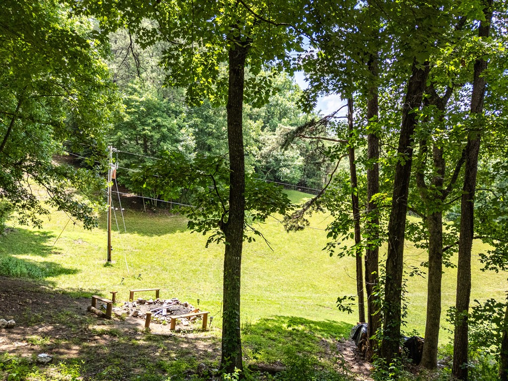 860 Holly Road Murphy, NC 28906 - Photo 49 of 62