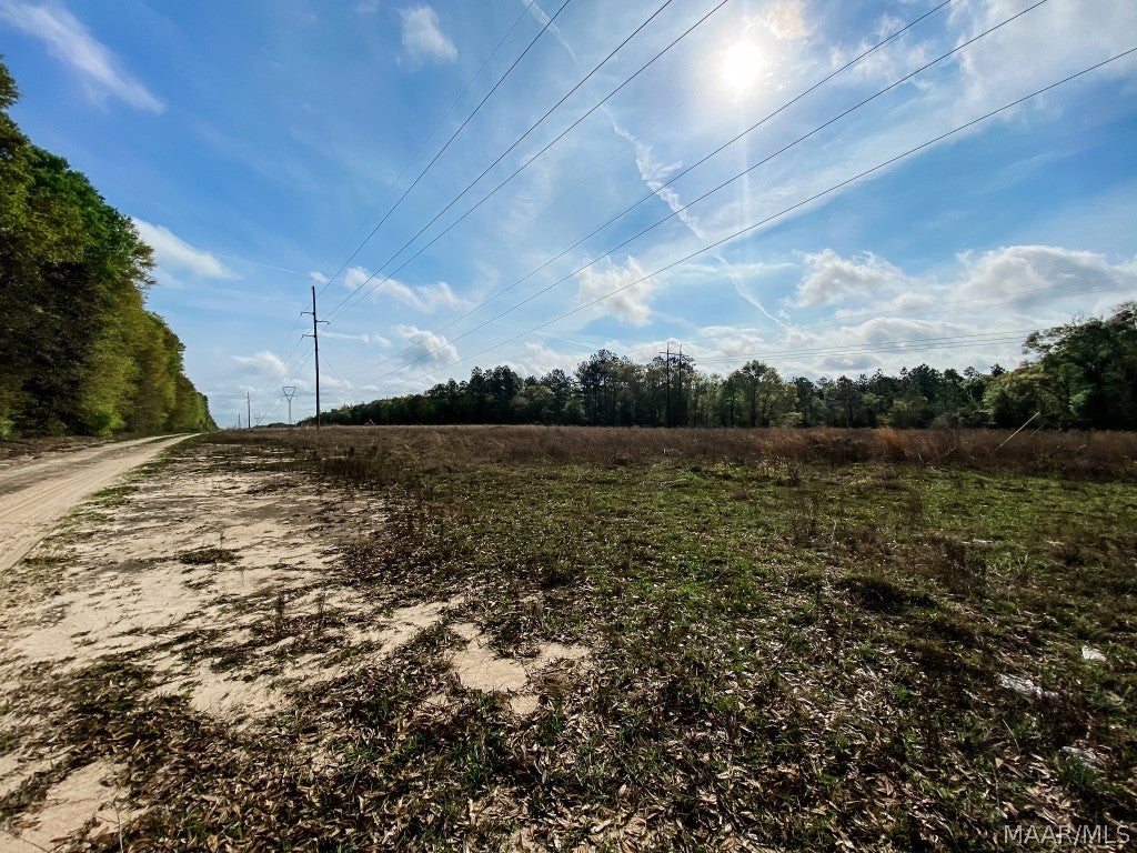 0 Open Pond Road Samson, AL 36477 - Photo 16 of 20 Gallery Image 16