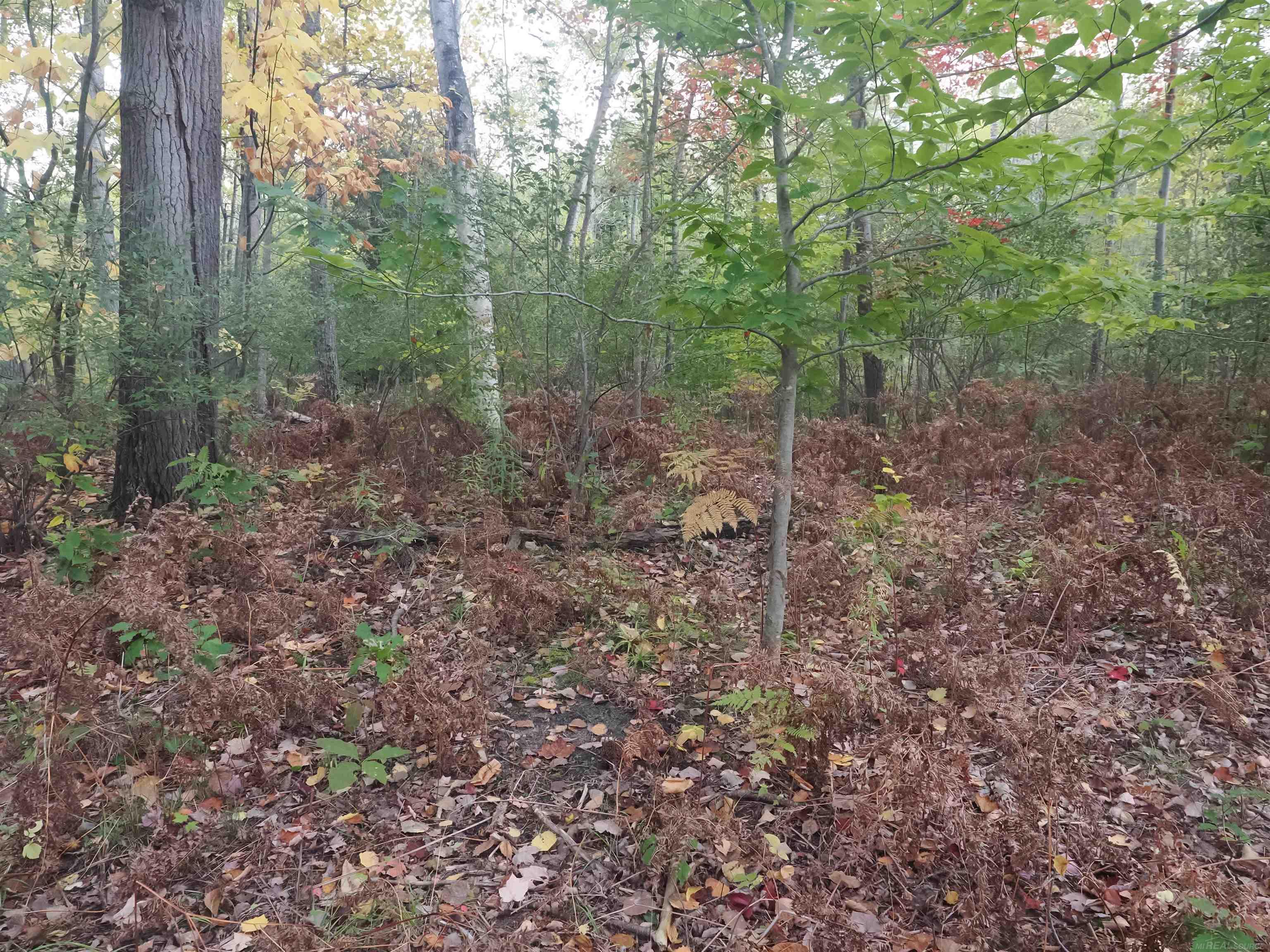 Xxx Tolan Road Spruce, MI 48762 - Photo 30 of 79