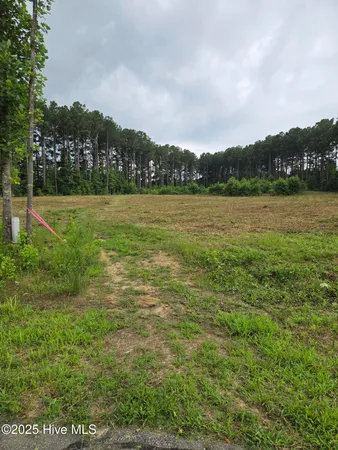 $80,000 | Lot 51 Roseheath Court, Bailey, NC 27807