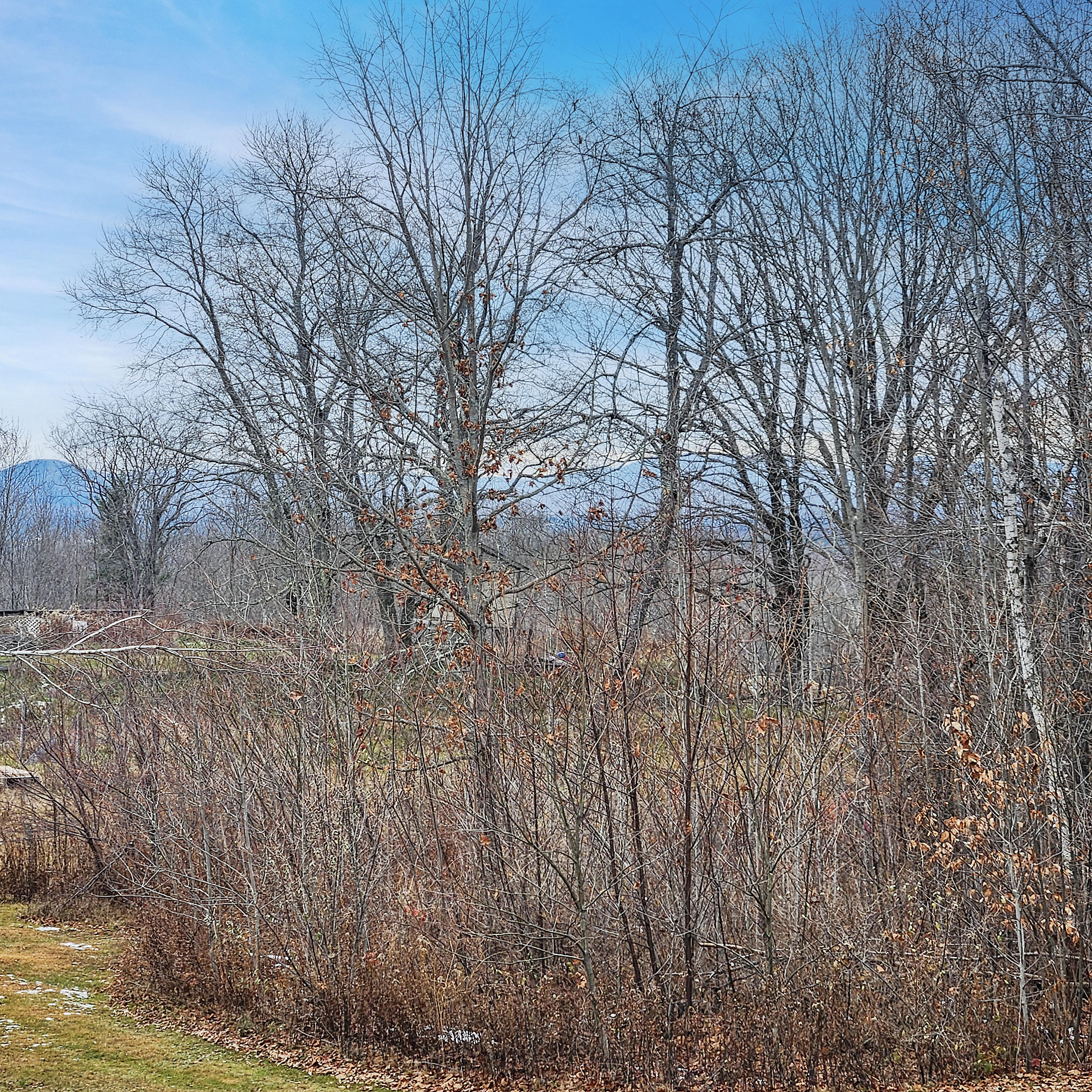 298 Burrill Hill Road Norridgewock, ME 04957 - Photo 35 of 42 20251125_135338