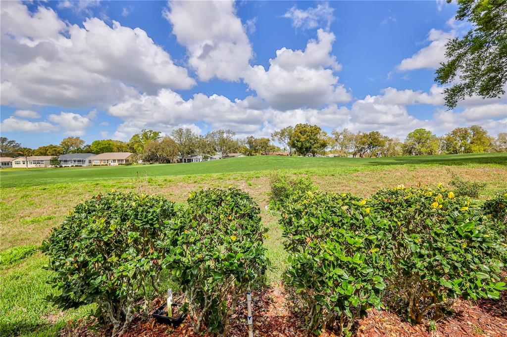 2420 Rolling View Drive Spring Hill, FL 34606 - Photo 29 of 62 a view of a big yard with a large trees