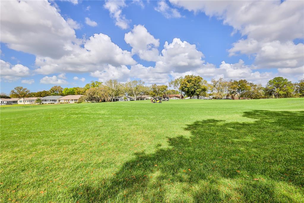 2420 Rolling View Drive Spring Hill, FL 34606 - Photo 34 of 62 a view of a big yard with plants and large trees