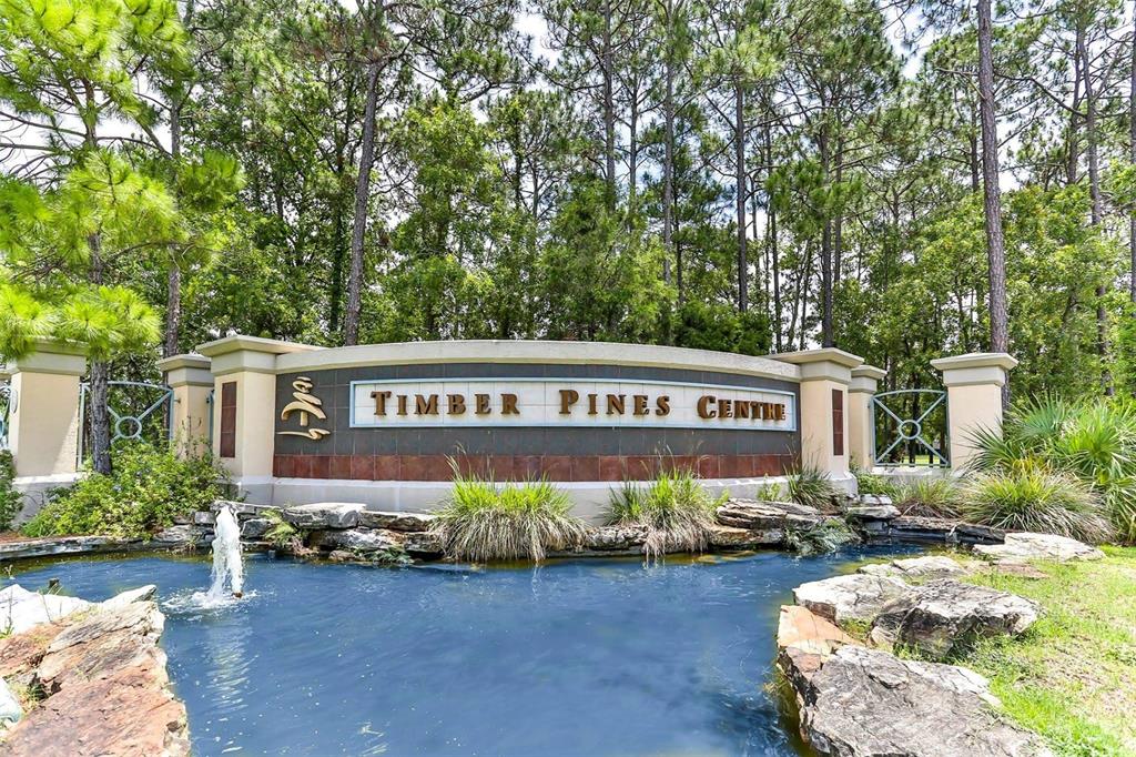 2420 Rolling View Drive Spring Hill, FL 34606 - Photo 49 of 62 front view of a house with a yard