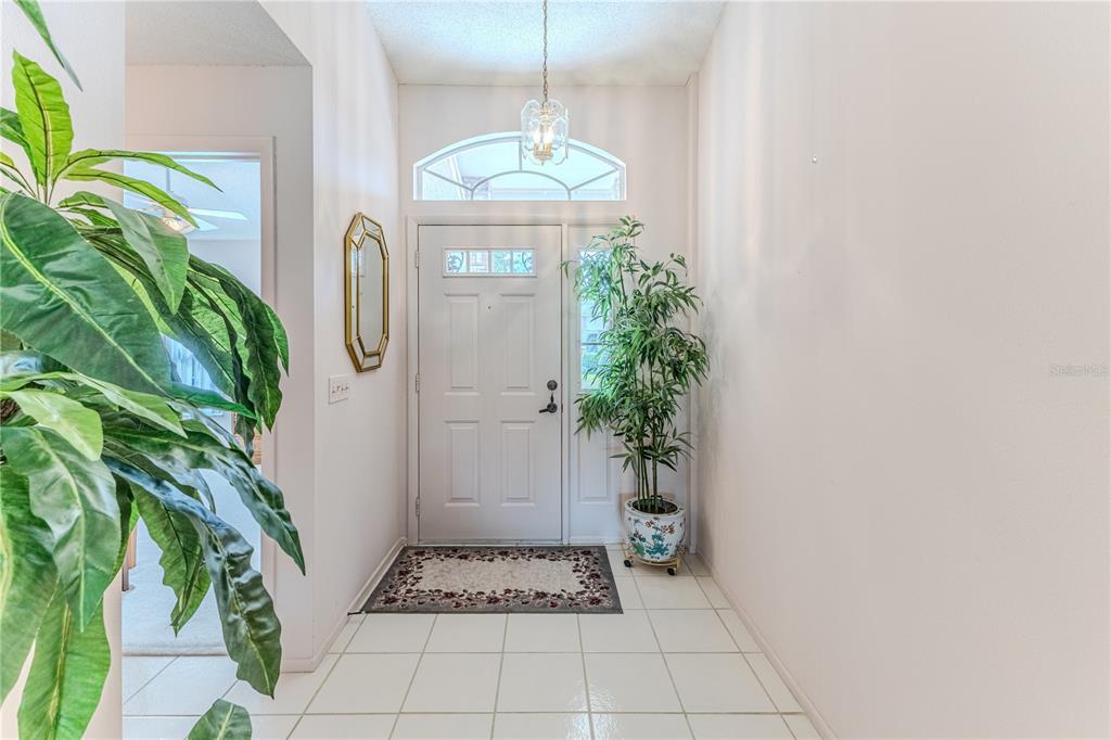 2420 Rolling View Drive Spring Hill, FL 34606 - Photo 5 of 62