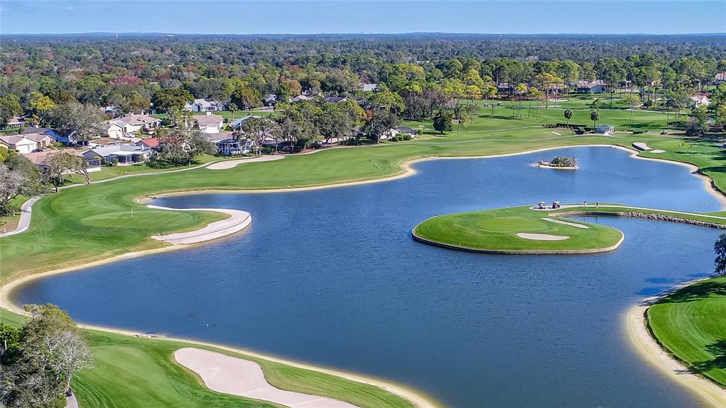2420 Rolling View Drive Spring Hill, FL 34606 - Photo 59 of 62 an aerial view of a golf course with a swimming pool