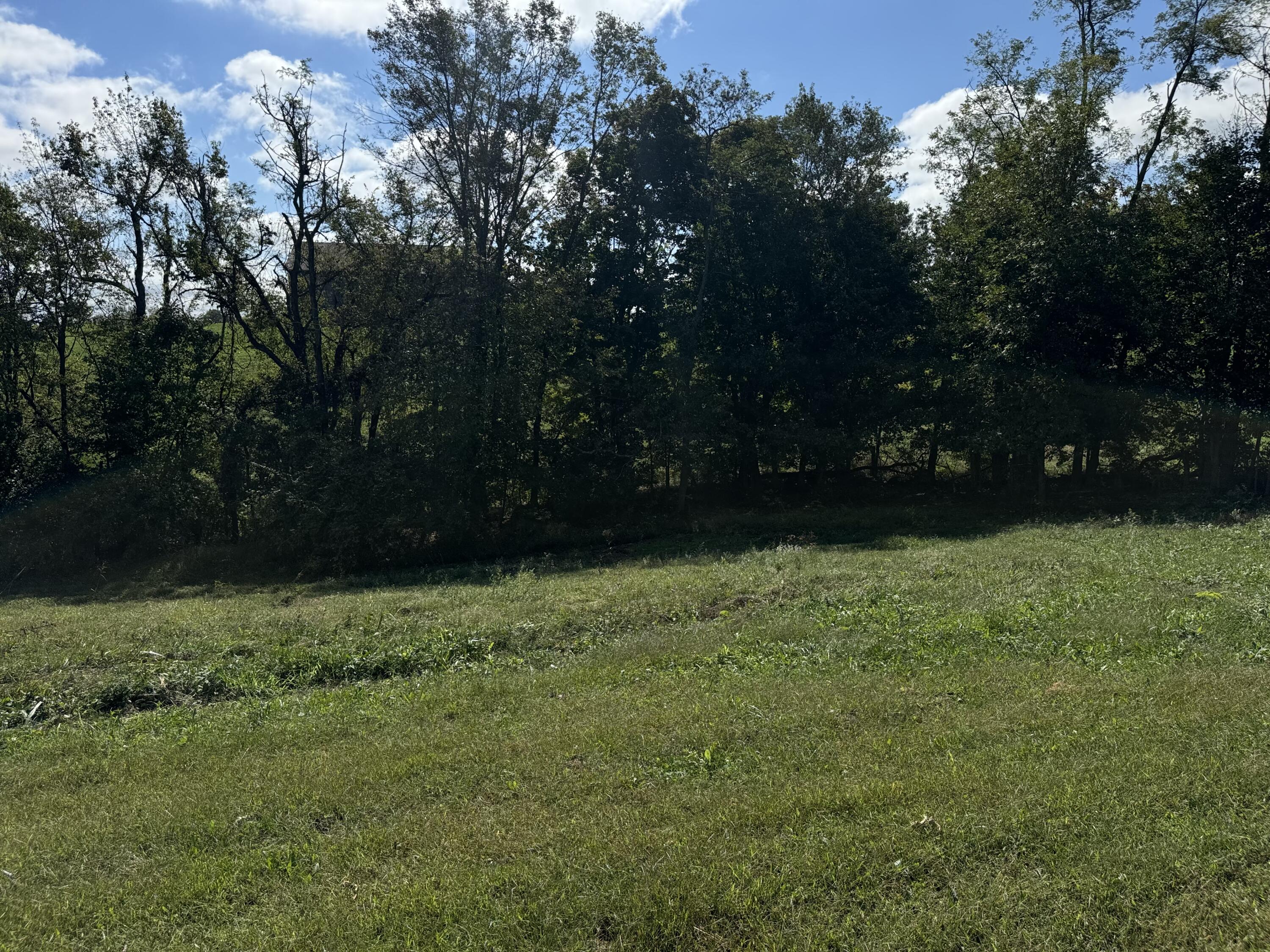 968 Nina Ridge Road Lancaster, KY 40444 - Photo 13 of 22 IMG_2544
