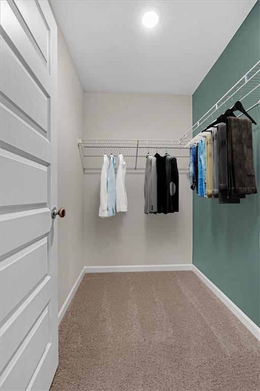 117 Lavender Circle Calhoun, GA 30701 - Photo 21 of 29 a view of walk in closet