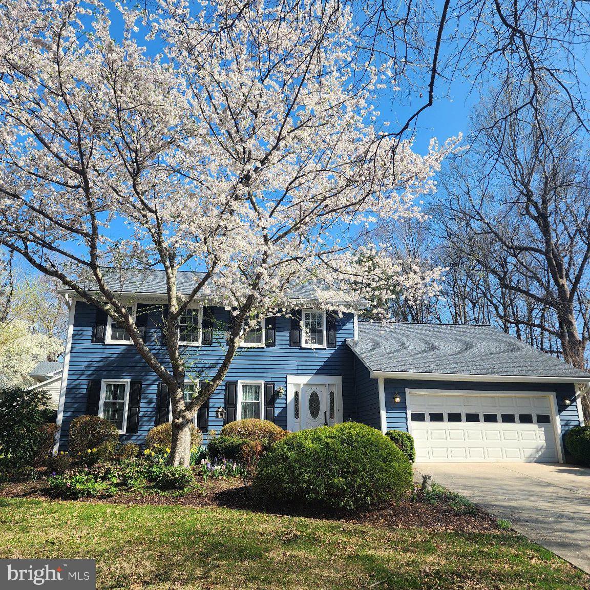 Charming blue home with blooming trees.