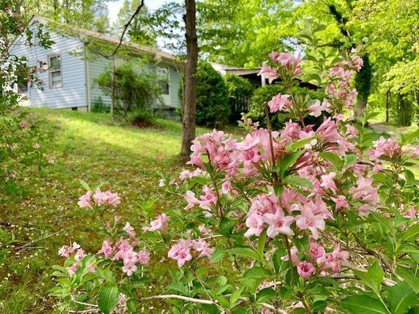 455 Kilenback Road Robbins, TN 37852 - Photo 2 of 40 24199462-5ae1092258ac7c60807894c26a3a893