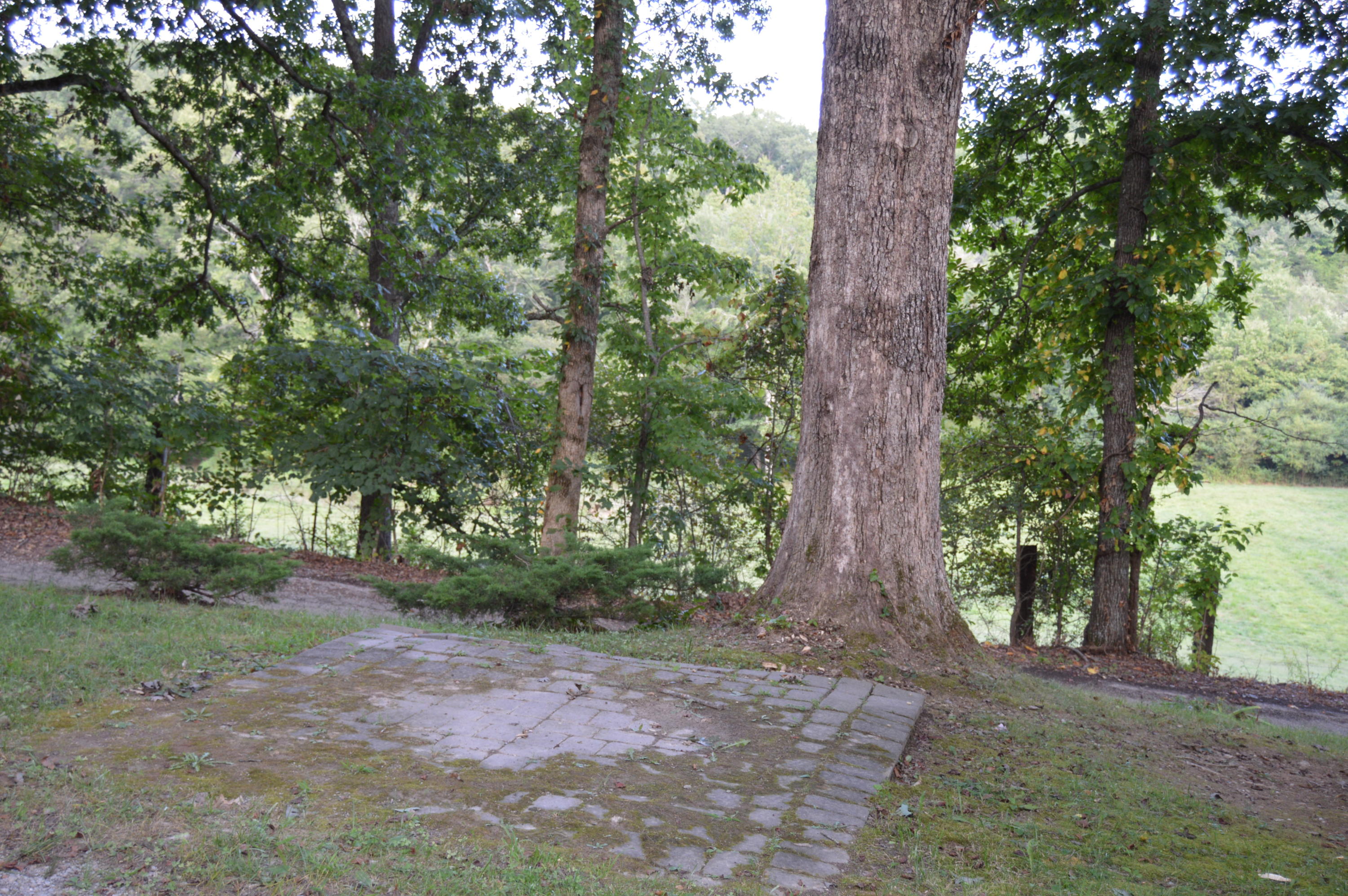 455 Kilenback Road Robbins, TN 37852 - Photo 26 of 40 DSC_0022