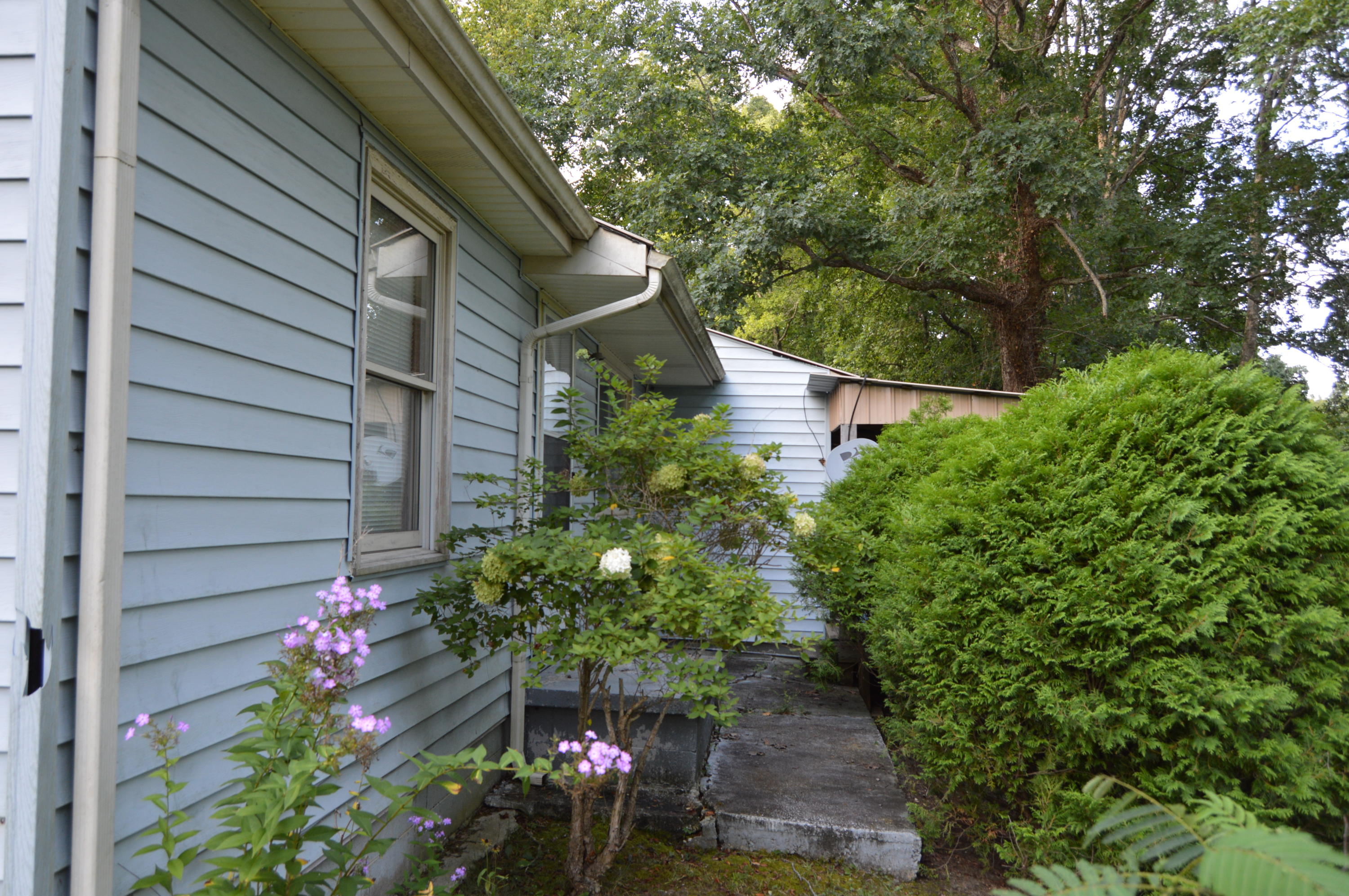 455 Kilenback Road Robbins, TN 37852 - Photo 29 of 40 DSC_0015