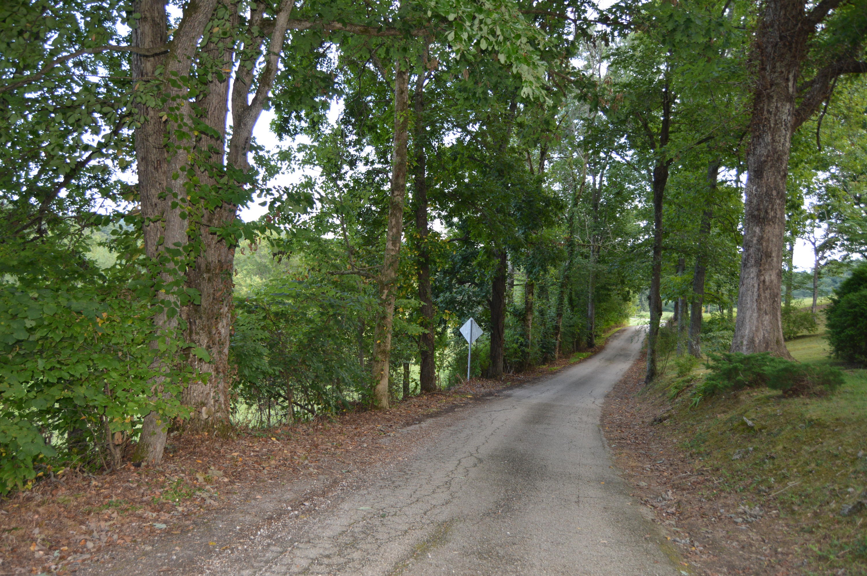 455 Kilenback Road Robbins, TN 37852 - Photo 38 of 40 DSC_0046