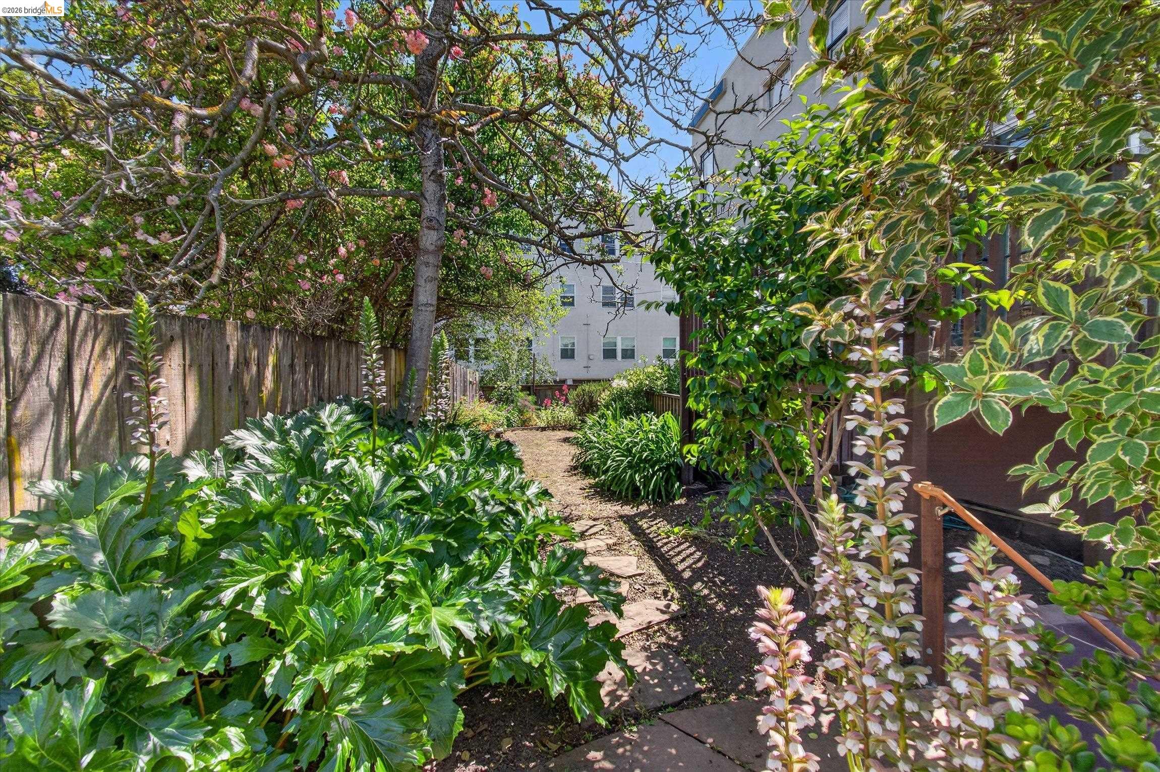 1239 Berkeley Way Berkeley, CA 94702 - Photo 9 of 28