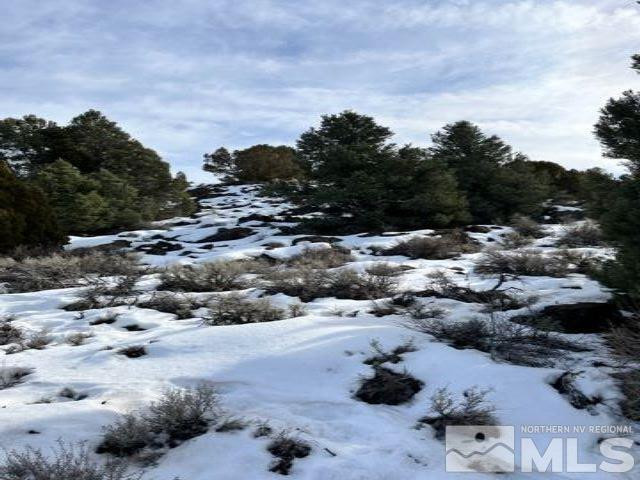 a view of a covered with snow on the road