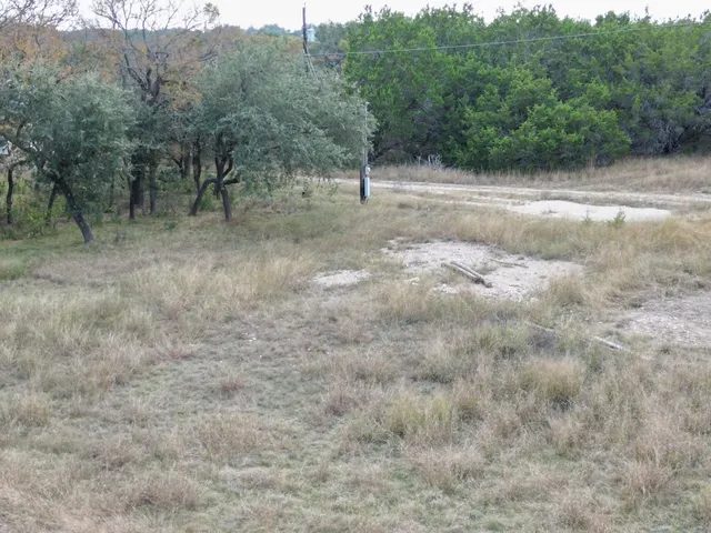 a view of a dry yard with trees