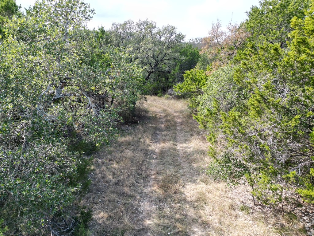 20940 Firefly Road Florence, TX 76527 - Photo 3 of 21 a view of a forest with trees in the background