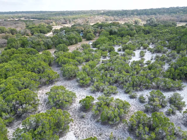 an aerial view of a forest with houses