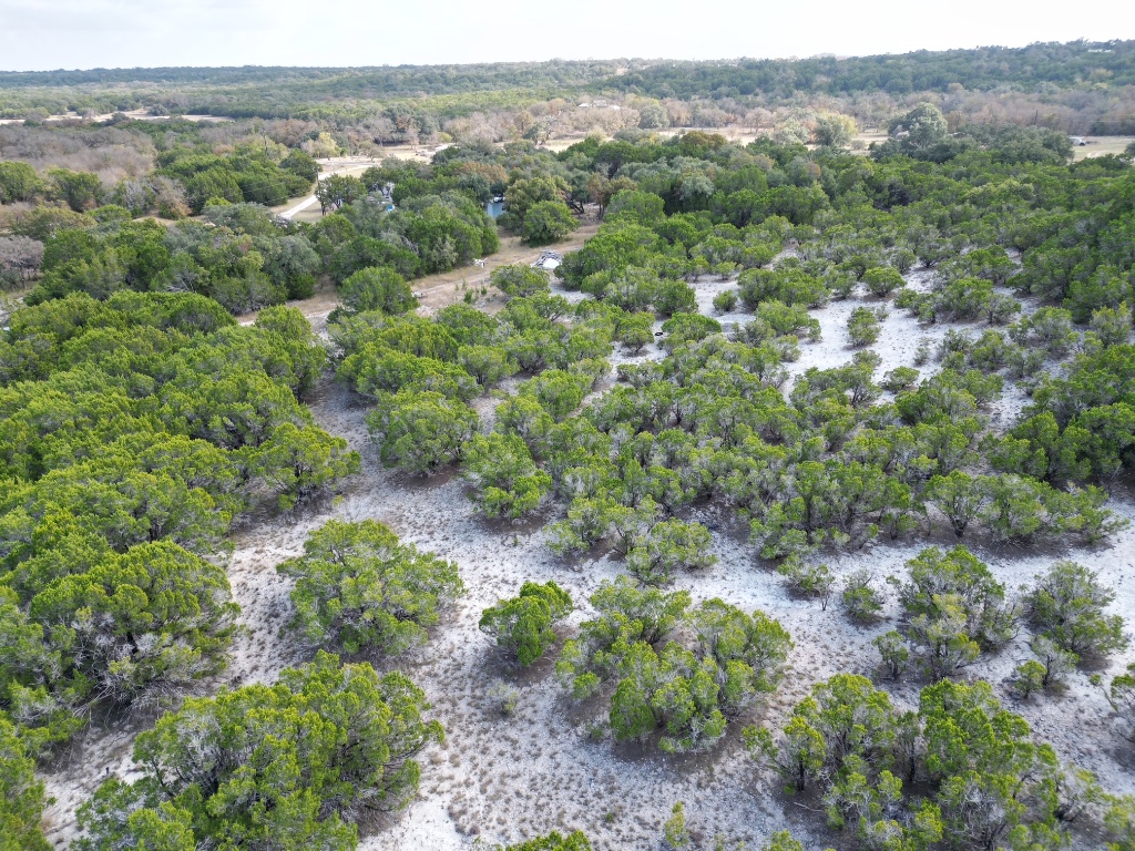 20940 Firefly Road Florence, TX 76527 - Photo 5 of 21 an aerial view of a forest with houses