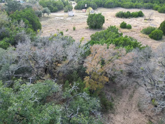 a view of a dry yard with wooden fence